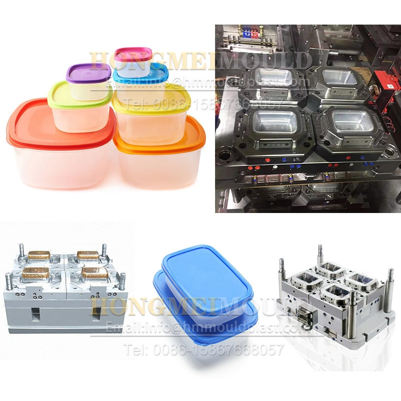 Crisper Mould