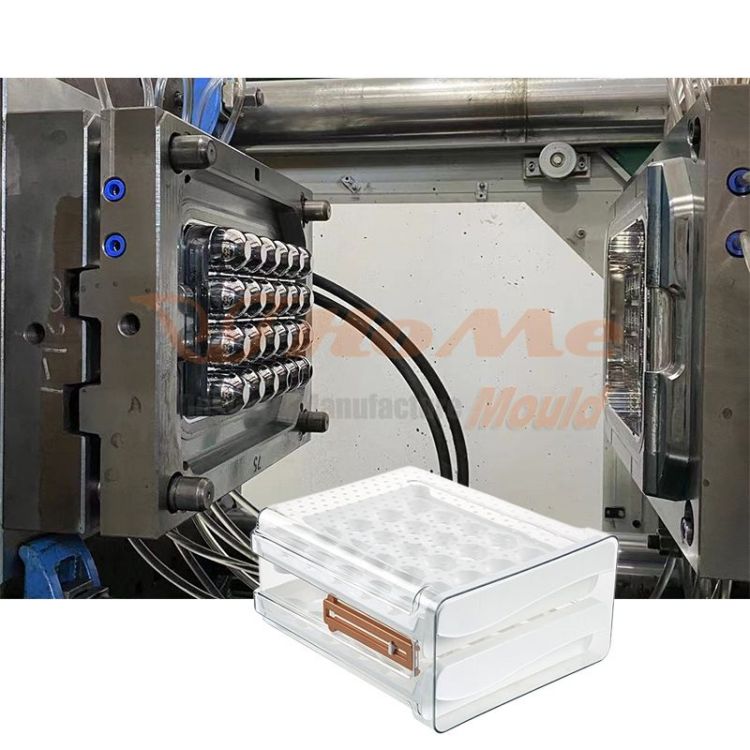 Egg Storage Box Mould
