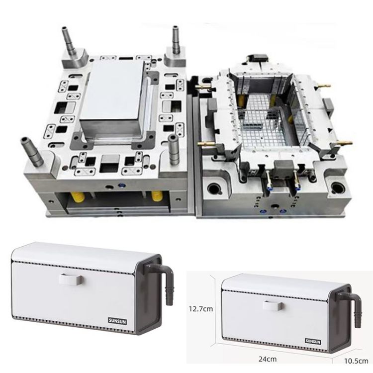 Fishtank Filter Mould
