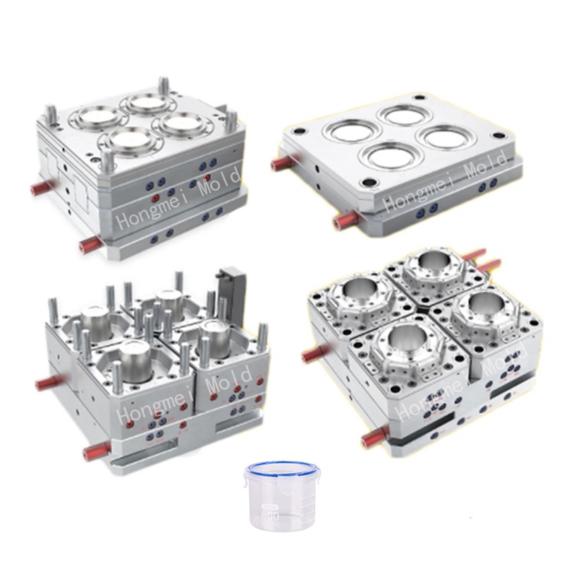 Fresh Box Mould