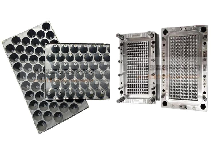 Plastic Egg Rack Household Mould