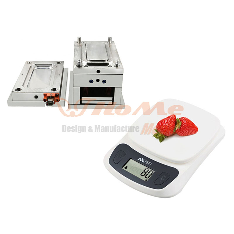 Plastic Scale Shell Injection Mould