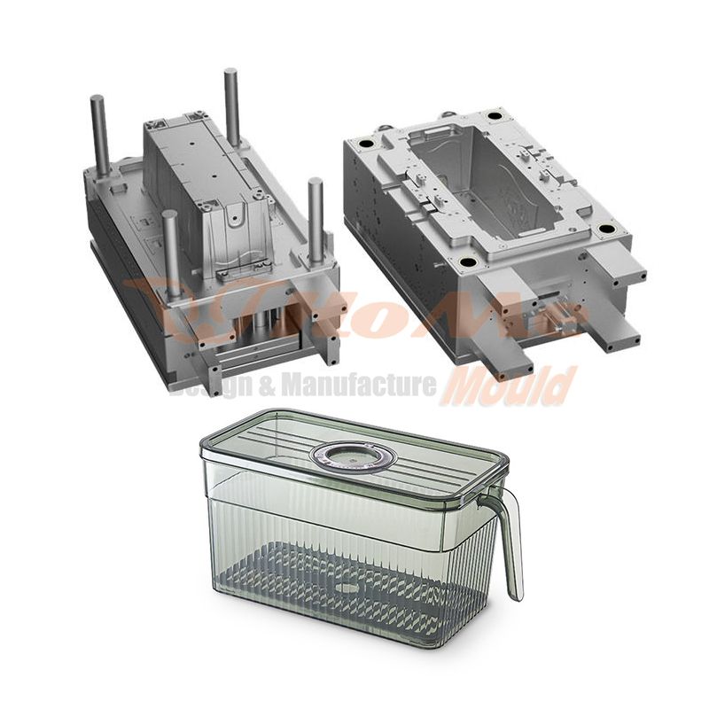 Refrigerator Storage Box Mould