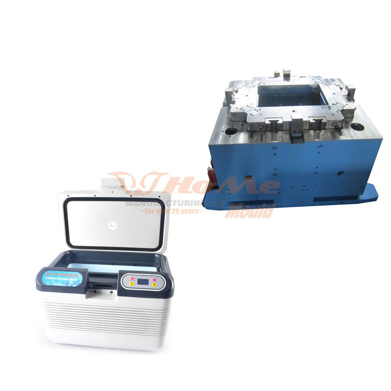 Small Refrigerator Shell Injection Mould
