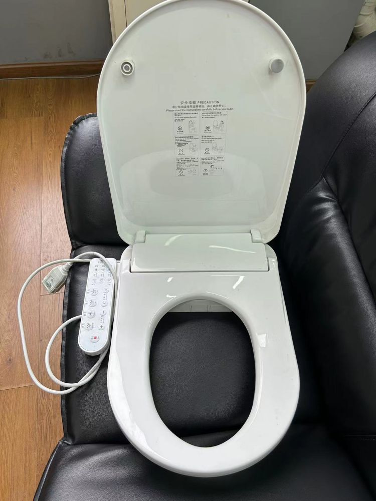 Toilet Seat Cover Mould 1